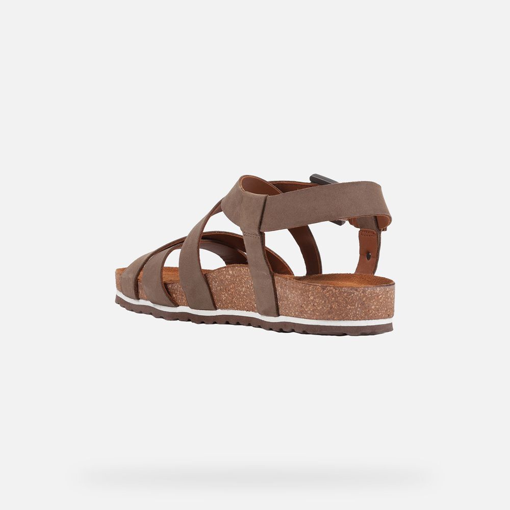 Geox Sandals Dark Brown Spensierata - Geox Womens Shoes - LVQIXT163